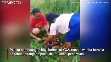 Video Viral, Ditemukan Bayi Laki-laki Dibuang di Sawah, Pelaku Pembuangan Remaja 15 Tahun
