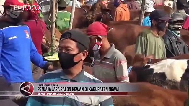 Penjaja Salon Hewan Kurban Jelang Idul Adha