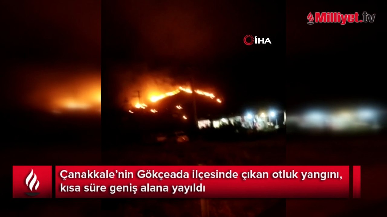Gökçeada’da otluk yangını! Çok sayıda ekip sevk edildi
