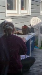 Kitten Takes a Tumble off Cooler