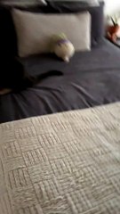 Cat Pounces on my Head