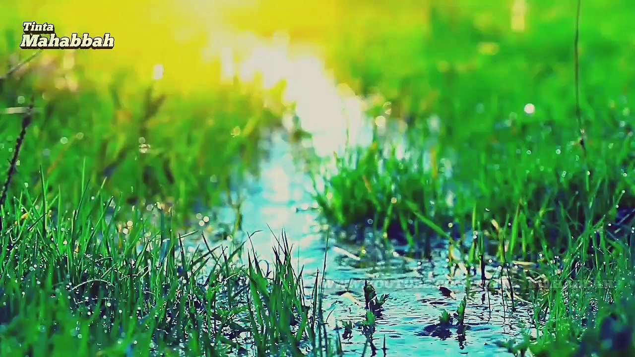 KEMUNCULAN IMAM MAHDI - HADITS TENTANG IMAM MAHDI - WALI ALLAH AKHIR ZAMAN