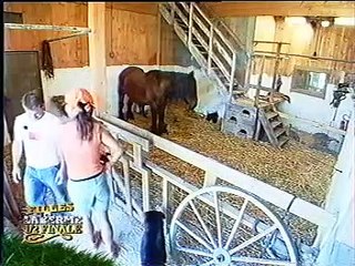 la ferme des célébrités 2