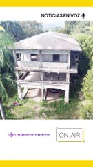 Resumen de noticias sábado 19 de noviembre