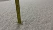 Snow measuring to fifty inches