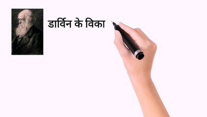 डार्विन के विकासवाद के सिद्धांत से 50 साल पहले, मैरी एनिंग, इंग्लैंड के जुरासिक तट पर, दुर्लभ जीवाश्म खोद रही थीं।