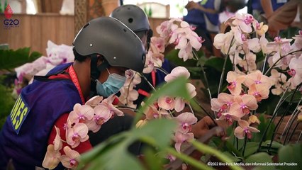 Rumah Bambu Tempat Makan Siang Resmi G20 Indonesia 2022