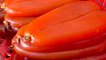 Record Prices for Seasonal Delicacy Mullet Roe - TaiwanPlus News