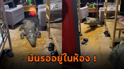 ช็อก ! พี่เข้โผล่ในห้องพักพร้อมกระดูกเกลื่อนพื้น หนุ่มตกใจเพื่อนหายไปไหน ?