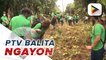 CCC, nagsagawa ng tree planting activity sa La Mesa Nature Reserve sa Quezon City