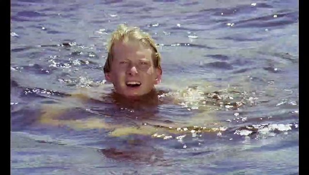 UNE POIGNÉE DE CENDRES Film (1988)