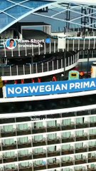 Norwegian   | Ram Shorts   #ramshorts #shorts