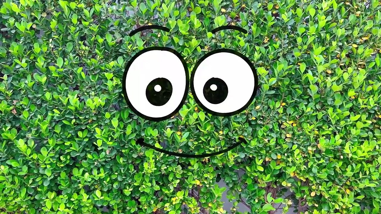 Diana and Roma Pink vs. Black Challenge and other Adventure stories for kids