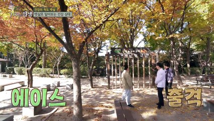 건강의 핵심은 뱃살!? 뱃살로 알아보는 건강 상태 TV CHOSUN 20221119 방송