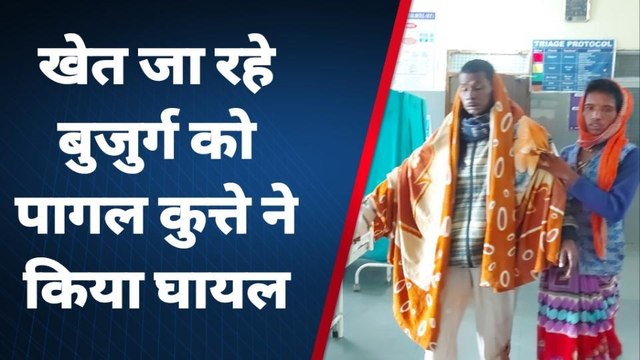 बैतूल :पागल कुत्ते ने बुजुर्ग पर किया हमला ,रहवासी है आवारा कुत्तों से परेशान
