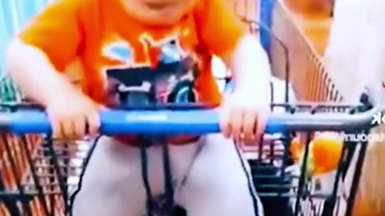 Meme funny compilation