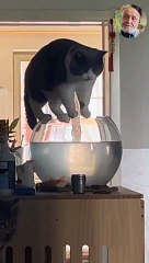 Дегустирует рыбный суп / Tasting fish soup