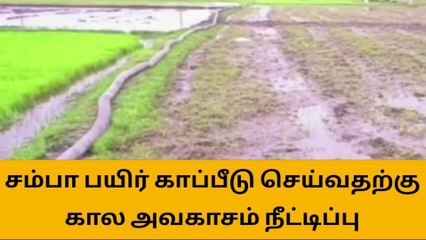 下载视频: விழுப்புரம்: சம்பா பயிர் காப்பீடு செய்வதற்கு கால அவகாசம் நீட்டிப்பு