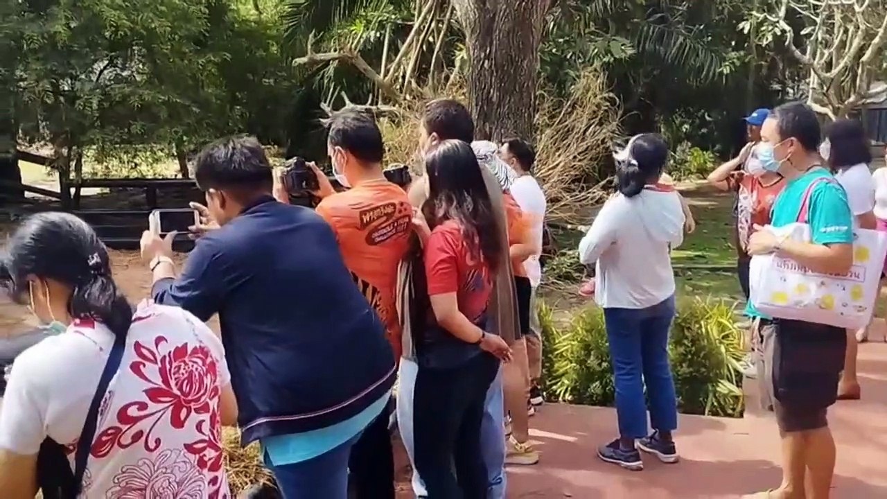 น้องแรดขาวทายผลฟุตบอลโลกคู่เปิดสนาม