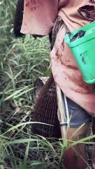 Solo Camping - Fish Trap Bubu in Kalimantan