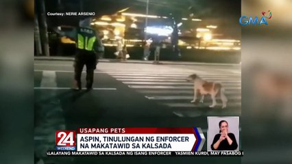 Aspin, tinulungan ng enforcer na makatawid sa kalsada | 24 Oras Weekend