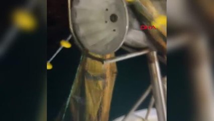 Çanakkale'de palamut bolluğu; tek seferde 2 bin balık ağlarda