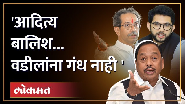 नारायण राणेंनी आदित्यंना बालिश म्हटले... तर उद्धव ठाकरेंवरही निशाणा साधला Narayan Rane vs Thackeray