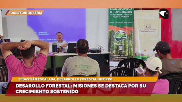Sala cinco Desarollo Forestal Misiones se destaca por su crecimiento sostenido