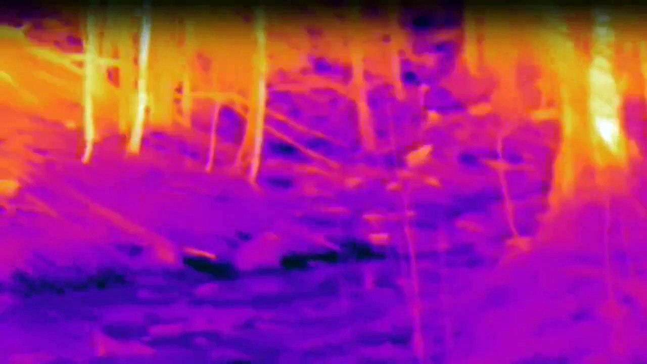 Die Monster-Jäger - Bestien auf der Spur Staffel 1 Folge 6 HD Deutsch