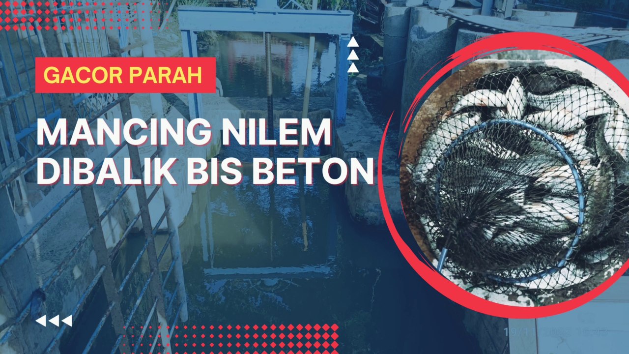 Mancing Nilem Dibalik Bis Beton