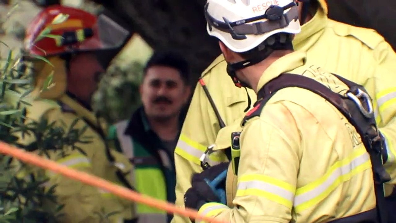 Woman rescued after trying to save pet cat stuck in a well