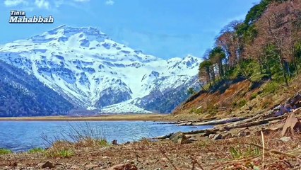 Kisah Umat Nabi Saleh Membunuh Unta Allah