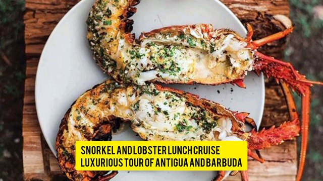 4 Antigua and Barbuda Tourism Activities That Make Holidays Even More Fun