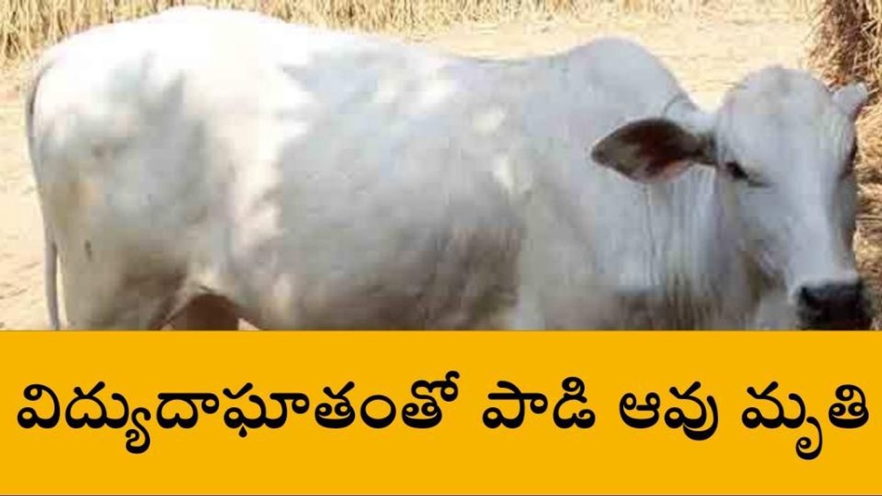 వంగూరు: పాపం రైతు.. విద్యుత్ తీగలు తగిలి..!