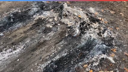 Modena, corpo carbonizzato nell'auto, parla un vicino: il video