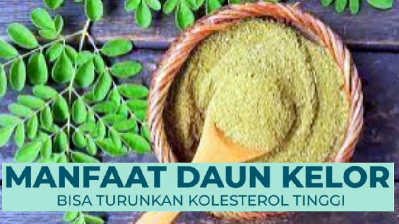 Bisa Turunkan Kolesterol Tinggi, ini Manfaat Lain Daun Kelor yang lain nya