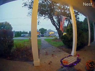 Candy Theft Thwarted