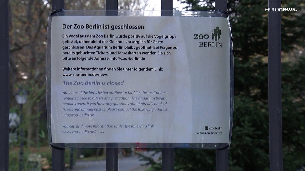 Gripe das Aves encerra Jardim Zoológico de Berlim