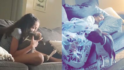 Dog's desire to be loved by his favorite girl seems limitless!