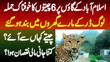 Islamabad Ke Village Me 6 Cheetahs Ka Hamla - Log Dar K Mare Gharon Me Band - Cheeta Kahan Se Aaye?