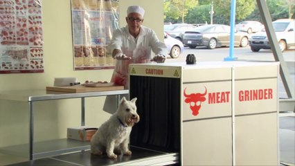 CUTE DOG GETS CAUGHT IN MEAT GRINDER