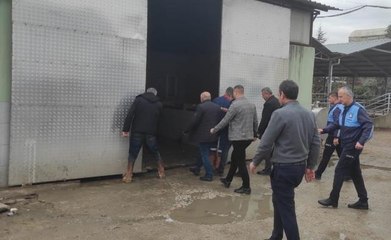 Bunları insanlara yedireceklerdi! Mide bulandıran işkembeciye ekiplerden baskın