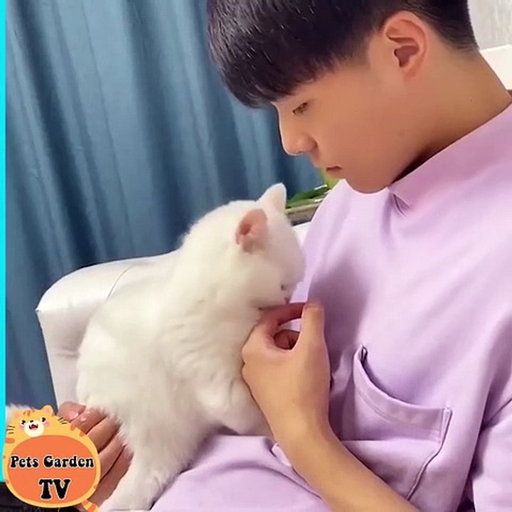 Animal funny- cat's cute