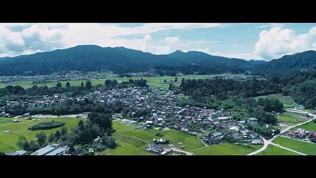 The Bhediya Legend Pre Release Promo