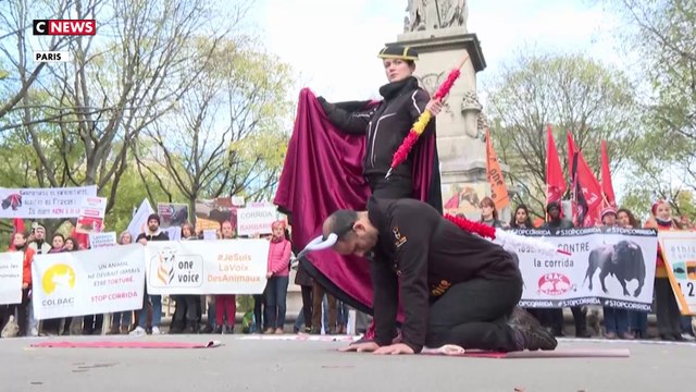 Corrida : Pros et Antis s'affrontent partout en France