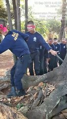 Funny security guard movies