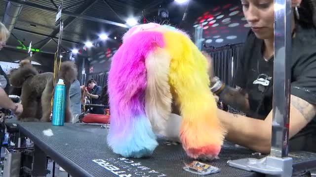 La creatividad de las tijeras obra su magia en el Campeonato Internacional de Peluquería Canina