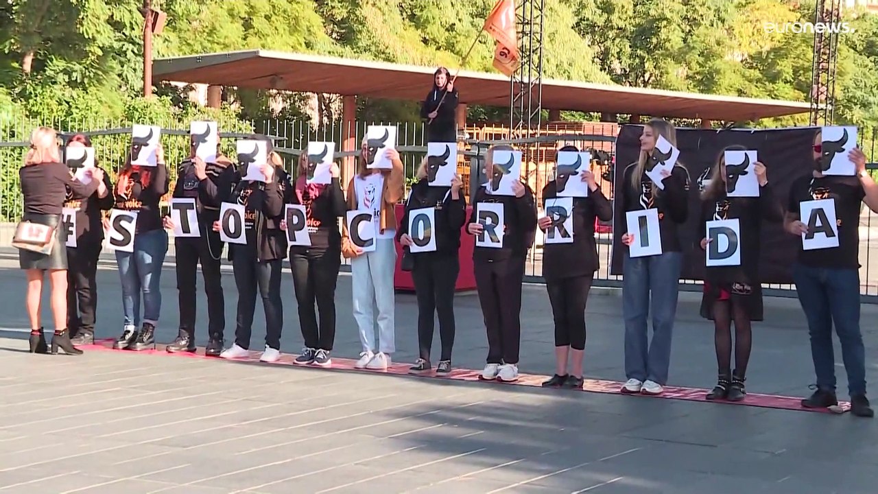 Kommt in Frankreich das Stierkampfverbot?