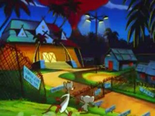 Pinky And The Brain - S4E3 - Brainwashed(3) Wash Harder