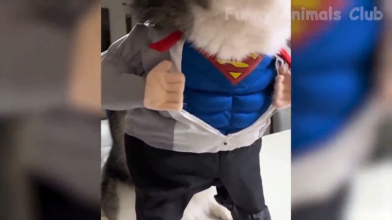 Cute animals